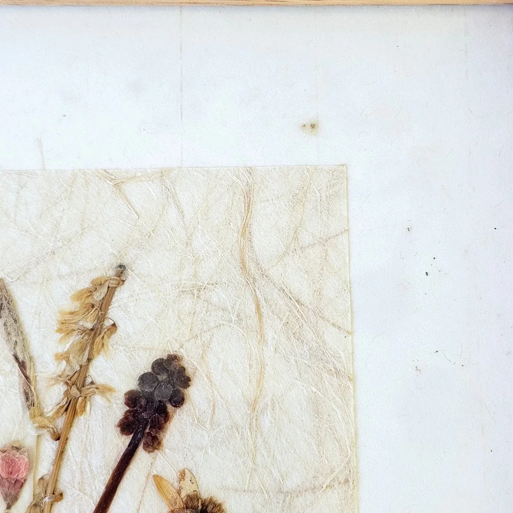 Vintage Framed Pressed Flower on Handmade Paper Picture Signed 7